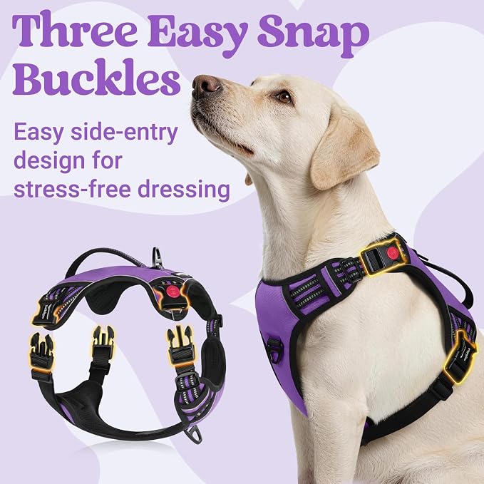 rabbitgoo Large Dog Harness, Easy Wear with 3 Buckles and Lift Handle | No Pull with Front Clip for Walking, Adjustable Soft Padded, Reflective, Easy Control, Purple, Large - Image 3
