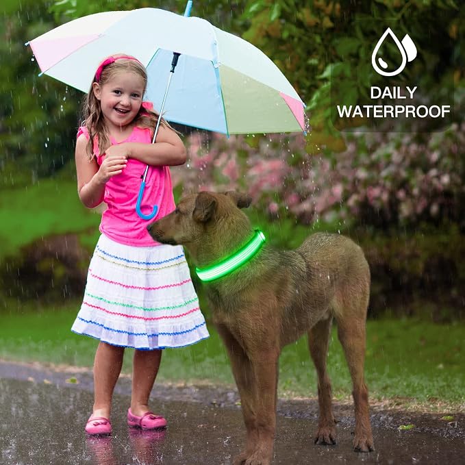 YFbrite Light up Dog Collar, USB Rechargeable LED Puppy Collar Super Bright Adjustable Glowing Dog Lights for Night Walking (Design 2-Green, Medium) - Image 7