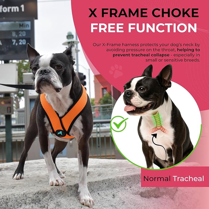 Gooby Comfort X Head-in Dog Harness, Choke-Free, Orange, Large | Patented choke-free X-frame; Secure head-in fit; Lightweight breathable mesh; Back metal D-ring; Machine washable - Image 5