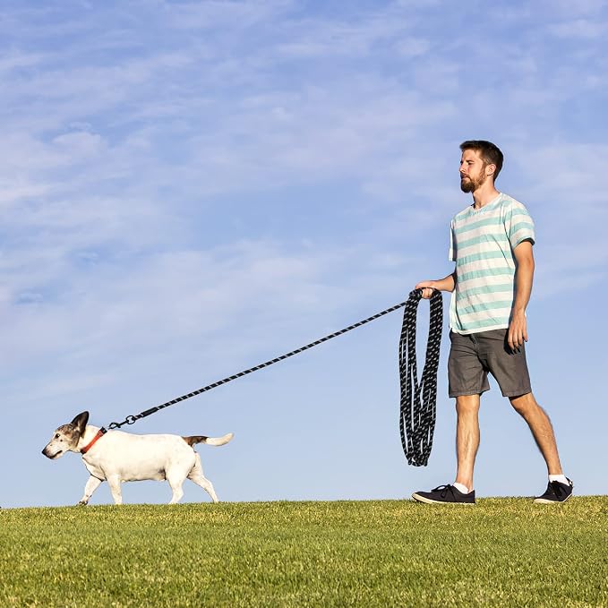 Long Dog Leash for Training 20Ft-Reflective Nylon Rope with Swivel Hook-Recall Agility Lead for Large Small Medium Dogs Outside Walking Hiking-Black - Image 6