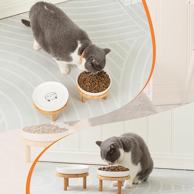 Lusifaco Shallow Wide Elevated Cat Bowls Whisker Fatigue(Pink,Set of 1) | 5.9 Inch 2 Height Raised Ceramic Cat Dishes with Bamboo Stand, Flat Pet Water Food Plates Feeding Station for Indoor Kitten - Image 6