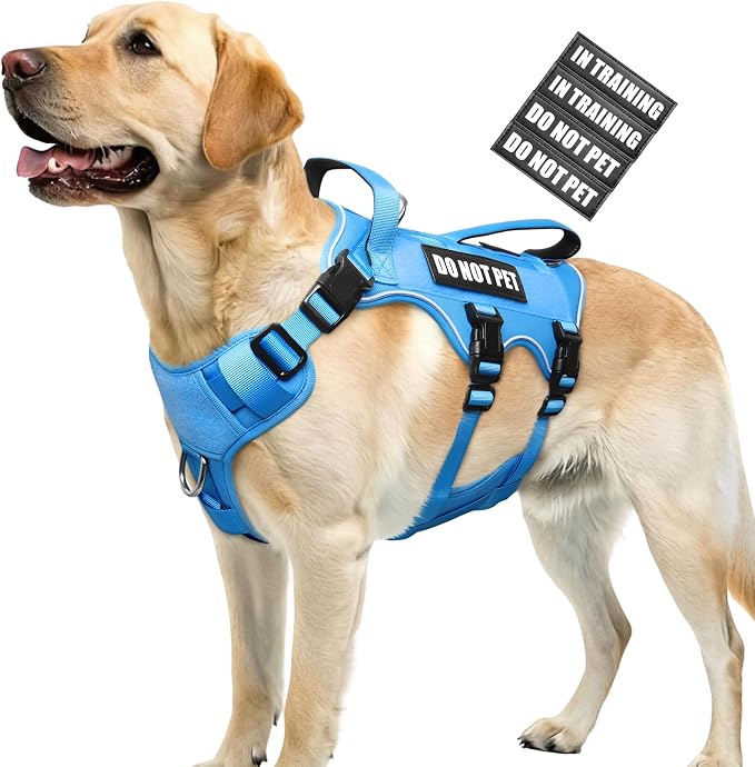 WINSEE Escape Proof Dog Harness with Double Handle+4 Removable Patches | Service Working Molle Harness with Double Handle for Large Dogs, Tactical Pet Reflective Vest for Walking Hiking Hunting by WINSEE