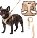 AMTOR Small Dog Harness with Leash Set, No Escape Easy Walk Puppy Harnesses for Training Walking, Step-in Reflective Soft Dogs Vest for XS S Medium Extra-Small Large Sized Dog(Beige,XL) by AMTOR