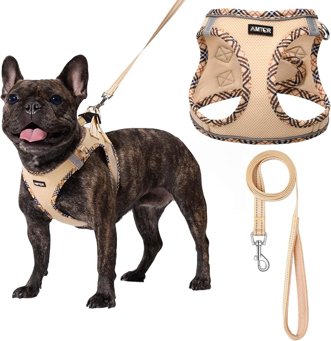 AMTOR Small Dog Harness with Leash Set, No Escape Easy Walk Puppy Harnesses for Training Walking, Step-in Reflective Soft Dogs Vest for XS S Medium Extra-Small Large Sized Dog(Beige,XL) by AMTOR