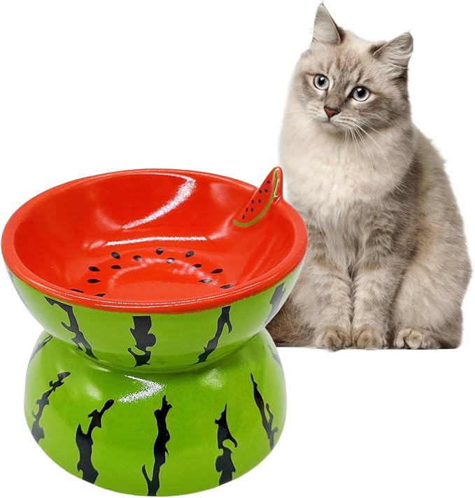 Elevated Cat Bowl Ceramic Raised Cat Food Water Bowls for Indoor Kitten | 5.2In Tilted Anti Vomiting Slow Feeder Cat Dishes, Whisker Friendly, Cute Watermelon Design by Hamiledyi