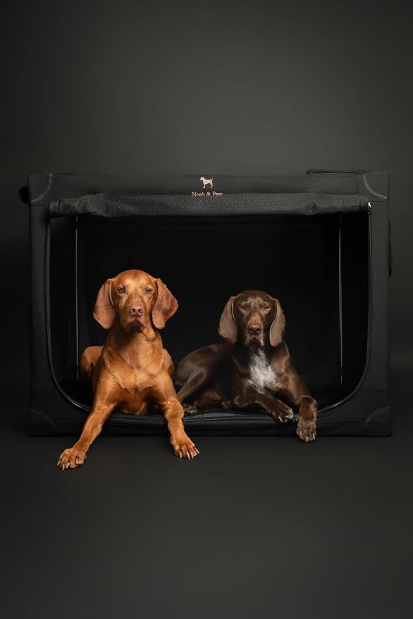 Noah & Paw Collapsible Dog Crate 36 Inches, XL Dog Crate for XL, Large Medium Breed, Travel Kennel for Car, Includes Pet Mat for Pet Cage, 2 Storage Pockets, Handbag, 10mm Locking Zippers 36*25*23 - Image 2