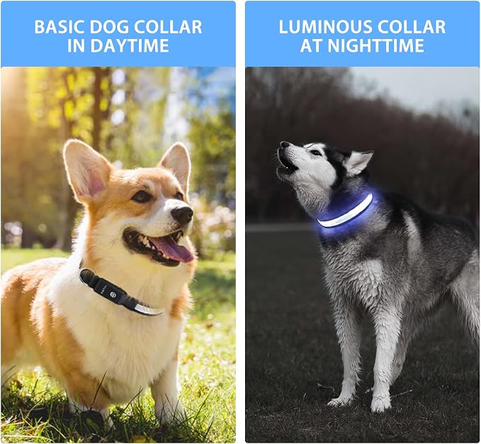 PcEoTllar Light up Dog Collar, Safe for Night Walking, Adjustable, Black, M | Colorful RGB Light, Waterproof, For Small Medium and Large Dogs, Durable Material, USB to Charge - Image 7