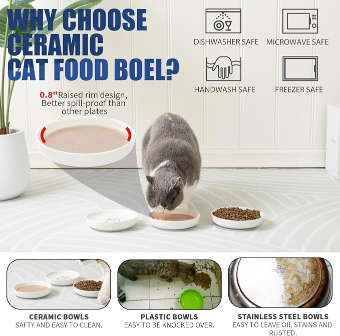 Lusifaco Shallow Wide Cat Food Bowls Anti Whisker Fatigue (Blue, 3 Pack) | 5.9 Inch 2 Height Raised Ceramic Cat Dishes with Bamboo Stand, Flat Pet Water Food Plates Feeding Station for Indoor Kitten - Image 5