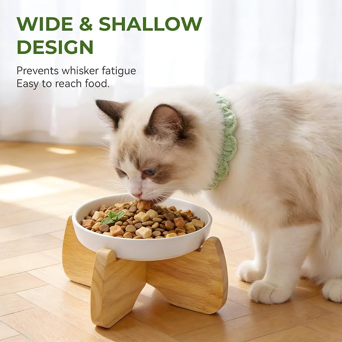 Raised Ceramic Cat Bowl 6.3" Wide Shallow Flat Bottom (1 Pack) | Neck Protective, Anti Whisker Fatigue, Anti Vomit, Dishwasher Safe, For Dry and Wet Food, For Kittens & Seniors - Image 3