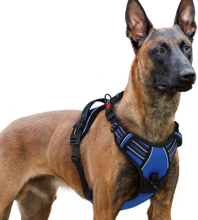 rabbitgoo Dog Harness for Large, Updated Easy On & Off with 3 Buckles | No Pull No Choke, Walking with 2 Clips and Handle, Adjustable Soft Reflective, Blue, X-large by rabbitgoo