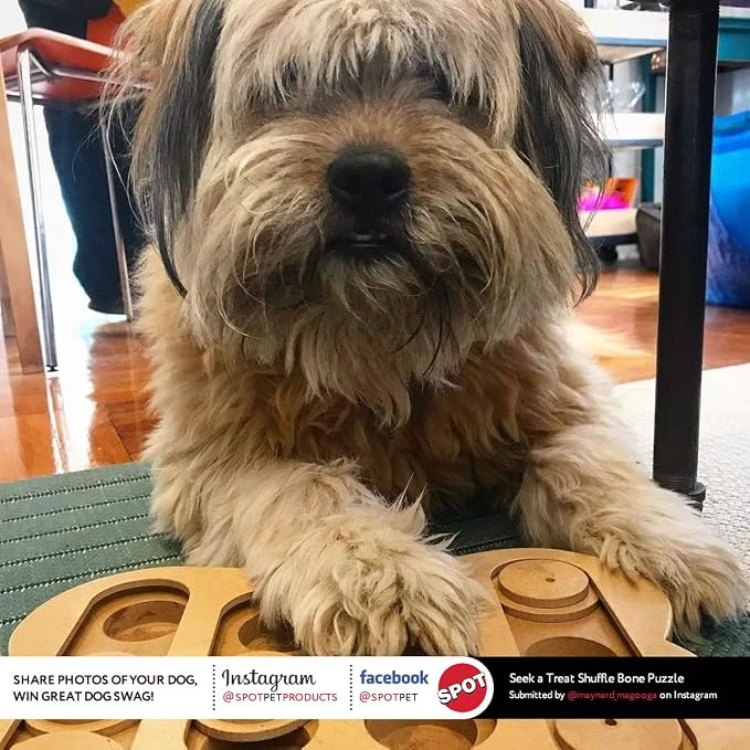 SPOT Interactive Seek-A-Treat Shuffle Bone Dog Toy Puzzle | Dog Treat Reward Toy Improves Your Dog's IQ | Specially Designed for Training Treats - Image 8