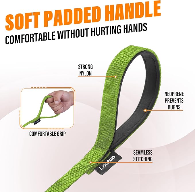 Long Line Dog Training Leash with Padded Handle, 100 ft, Green | Durable nylon webbing with reinforced stitching and 360° swivel clip for recall and obedience - Image 3