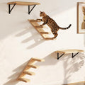 Cat Wall Shelves Stairs Cat Wall Furniture Mounted, 2PCS Shelves & 2PCS 4 Steps Climbing Shelf Scratching Perches for Sleeping, Playing, Climbing by PELUOMOZ