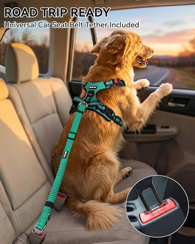 Joytale No Pull Dog Harness & Seat Belt, Easy On 3-Buckle, M, Teal | Front Clip Reduces Pulling, Escape-Resistant Design, Adjustable Fit, Soft Padding for Comfort, Secure Tether for Safer Travel - Image 3