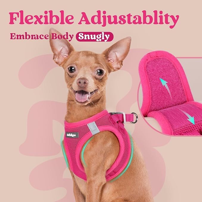 rabbitgoo Step-in Small Dog Harness, Puppy Vest for Small Sized Pet | Easy Put on and off, Lightweight, Soft, Breathable Quick-Dry Air Mesh for Comfortable Secure Walking, Rose Red XS - Image 7