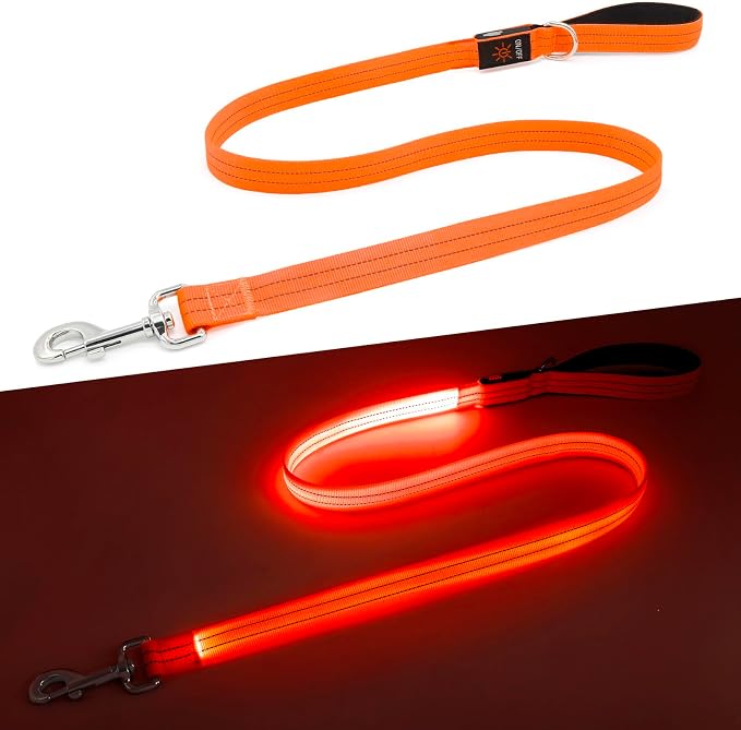 LED Dog Leash, 4 Ft Light Up Dog Leash USB Rechargeable Waterproof, Nylon Reflective Tether with Padded Handle, Safety Glow in The Dark Walking Lead for Large Medium Small Pets(Orange) by Kpuplol
