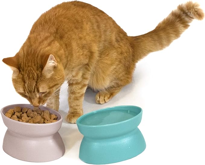 Kitty City Elevated Cat Bowls (Set of 2), Whisker-Friendly Raised Cat Food & Water Dishes, Modern Pedestal Design, Dishwasher Safe, 6.5 oz Each – Teal & Light Pink - Image 5