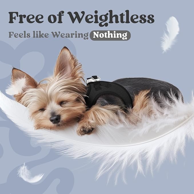 rabbitgoo Step-in Small Dog Harness, Puppy Vest for Small Medium Sized Pet | Easy Put on and off, Lightweight, Soft, Breathable Quick-Dry Air Mesh for Comfortable Secure Walking, Black L - Image 5