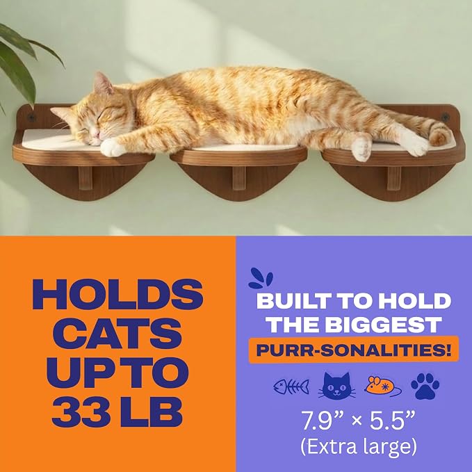Cat Wall Shelves, Walnut Floating Cat Steps Set of 3 - Image 3