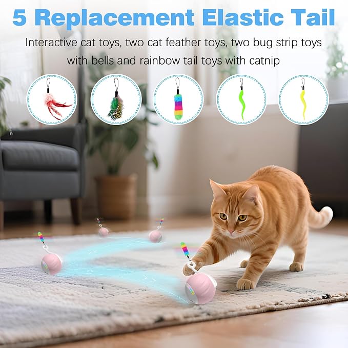 Upgraded 2.36 Inch Large Interactive Cat Toys Ball for Indoor Cats, Pink | Motion and Sound Activated, 2 Speeds, Rechargeable, 5 Replaceable Tails, Stuck-Free Motor, Gray Also Available - Image 4