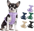 Wisedog Lightweight No Pull Dog Harness, Lilac, X-Small | Air Mesh, 3 Clips, Adjustable, No Choke Design, Ideal for Walking Training by WisedogPetSupplies