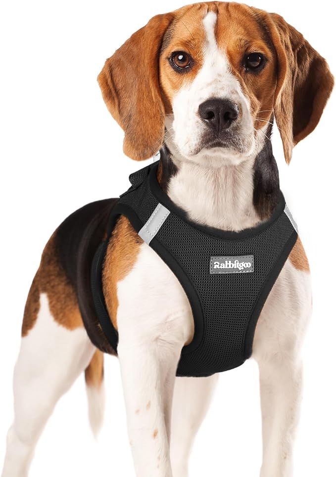 rabbitgoo Step-in Small Dog Harness, Puppy Vest for Small Medium Sized Pet | Easy Put on and off, Lightweight, Soft, Breathable Quick-Dry Air Mesh for Comfortable Secure Walking, Black XL by rabbitgoo