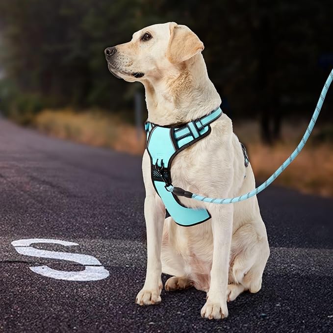 IVY&LANE No Pull Dog Harness with Leash Set, Reflective No Choke Pet Vest,Adjustable Oxford Dog Vest Harness with Easy Control Handle for Small Dogs (Turquoise,S) - Image 7