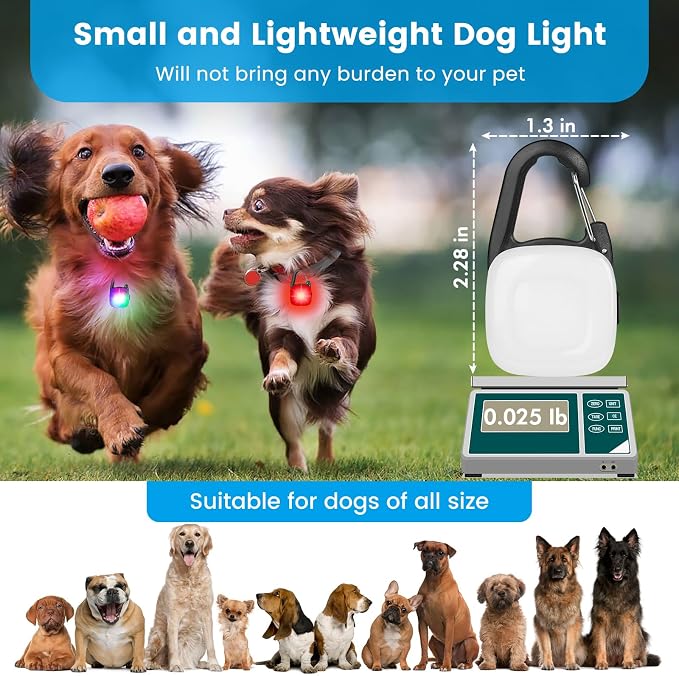 Dog Collar Light, 2 Pack Rechargeable Dog Light Clip On, 80LM Brightness 4 Color Modes Dogs Lights for Night Walking, Waterproof Pet Camping Essentials for Running, Cycling, Hiking (Black) - Image 6