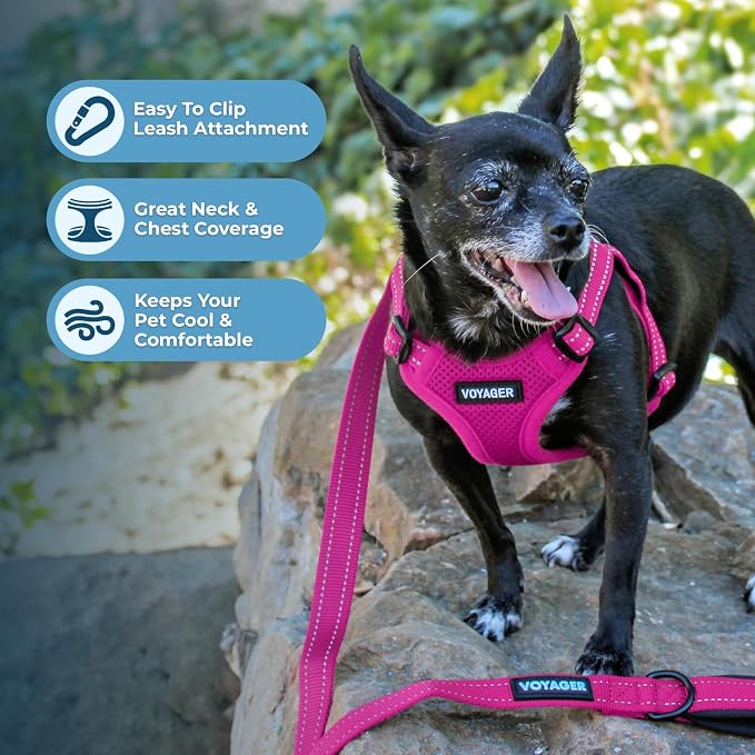 Voyager Step-in Flex Adjustable Dog Harness - Fuchsia, Medium | 17 - 21" in Chest, Fully Adjustable, Reflective Bands, All Weather Breathable Air Mesh, Lightweight, Fast Drying - Image 5