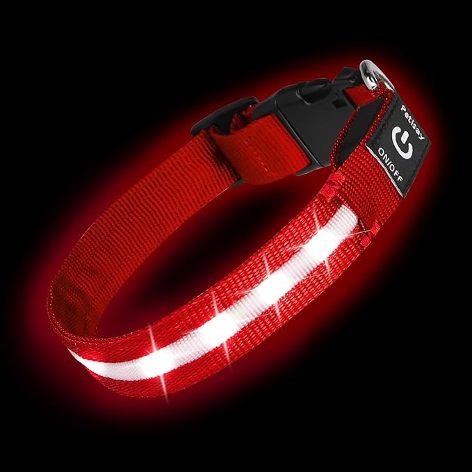 Super Bright LED Dog Collar, Waterproof Light up Collars(Red, Medium) | Lighted Dog Collar with Adjustable Fit, Soft Nylon Comfort, USB-C Rechargeable, Glow in the Dark Visibility for Night Walks by PetIsay