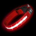 Super Bright LED Dog Collar, Waterproof Light up Collars(Red, Medium) | Lighted Dog Collar with Adjustable Fit, Soft Nylon Comfort, USB-C Rechargeable, Glow in the Dark Visibility for Night Walks by PetIsay