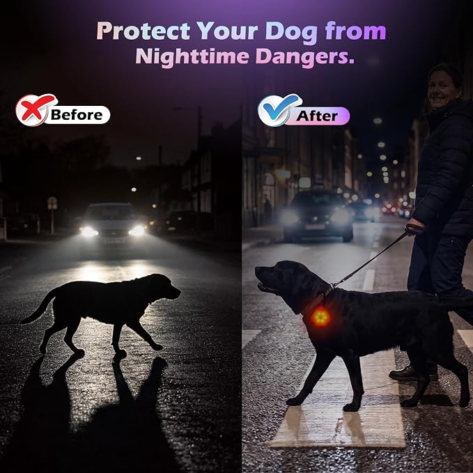 2 Pack LED Dog Collar Light, 7-Color Changing USB Rechargeable Dog Night Lights for Walking, Waterproof High Visibility Clip on Safety Light for Dog Collars, Harnesses & Leashes - Image 2