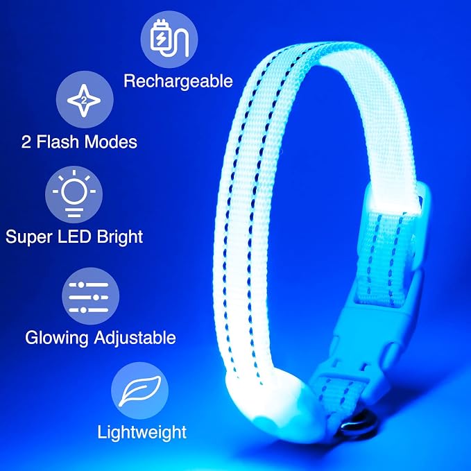 Light Up Dog Collar, Rechargeable USB Collar, Waterproof, Luminous LED Collar, Adjustable, Super Bright, Night Walking for Small Medium Large Dogs, Blue, S - Image 2