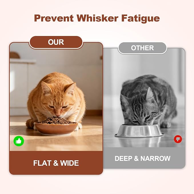 SPUNKYJUNKY Extra Wide Elevated Ceramic Cat Bowl with Acacia Wood Stand Whisker Friendly (Cat Paw Pattern, Brown) - Image 4