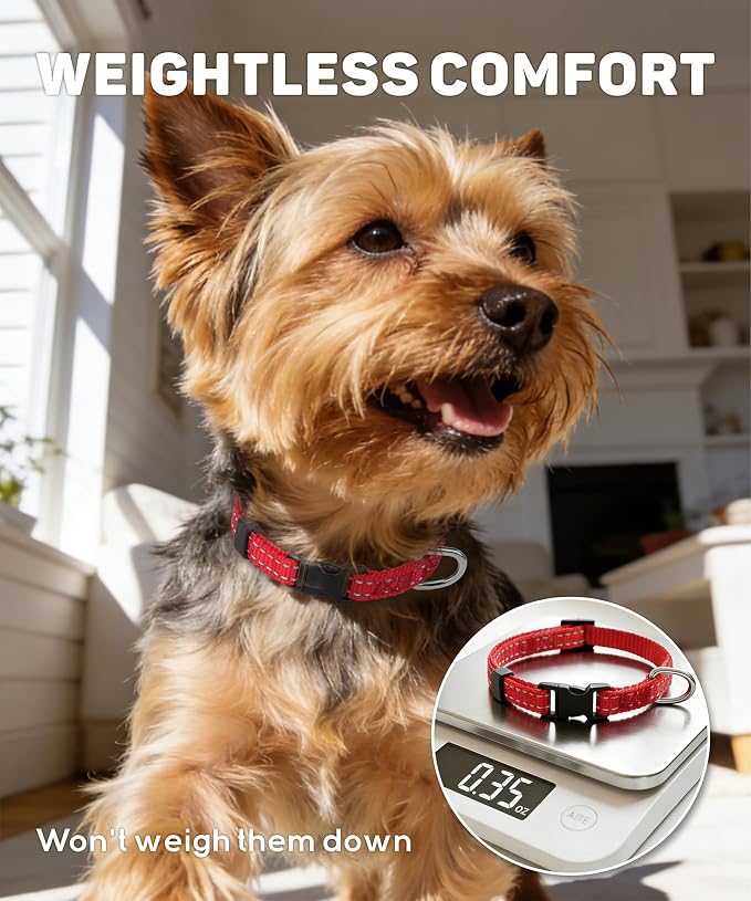 TagME Small Dog Collar, Reflective Puppy Collar, Orange, 3/8" Width | Lightweight, Nylon Collar for Puppies, Chihuahua, Yorkie & Teacup Dogs 5-15 Lbs, Reflective for Evening Walks, 12 Colors - Image 3