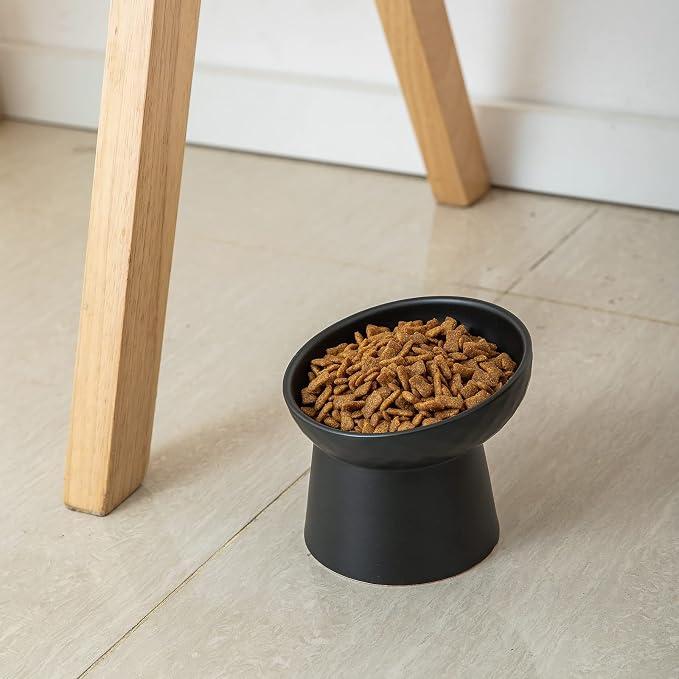 Elevated Cat Bowls, 15° Tilted Ceramic Raised Cat Food and Water Bowl Set, Whisker-Friendly Porcelain Pet Feeder Dishes for Indoor Cats and Small Dogs,Black,5.2 Inch,2 Pack - Image 4