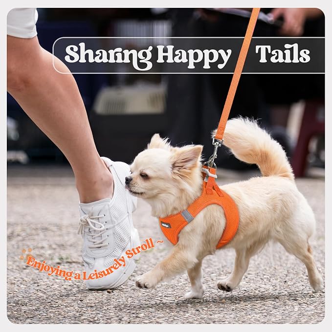 rabbitgoo Dog Harness Small Sized and Leash Set, Step-in Puppy Pet Vest | Light, Soft, Breathable Air Mesh, Easy on and Remove with Hook & Loop, Secure Reflective for Walking, Orange XXS - Image 9