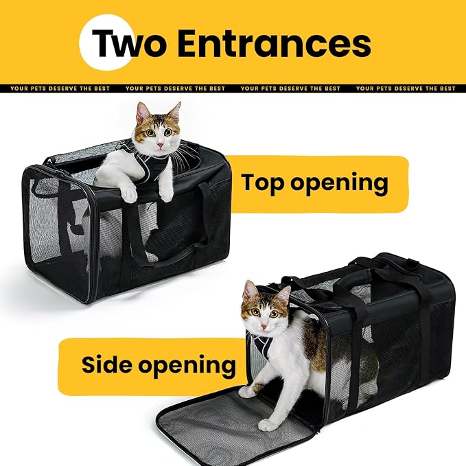 Conlun Cat Carrier Bag,Soft-Sided Pet Carriers for Dogs with 4-Sided Mesh,Airline Approved Cat Transport Carrier for Small&Medium Cats Kitten Puppy Up to 15Lb,Collapsible Cat Travel Carrier-M,Black - Image 6