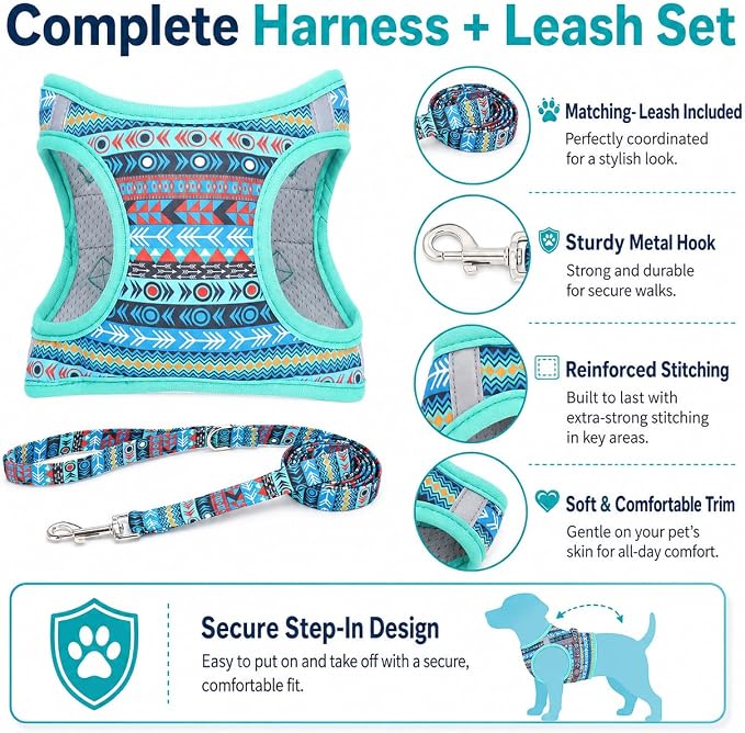 Step in Air Dog Harness Leash Set- All Weather Reflective No-Pull Padded Mesh Vest Harness for Cats Puppy Extra-Small Small Medium Large Dogs - Mayan Mysteries - XXS - Image 3