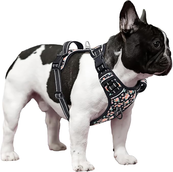 Timos Small Dog Harness, No Pull No Choke, Easy On & Off, Black Rose, S | Adjustable Reflective Soft Padded, Neck Quick Release with 3 Buckles, Front & Back 2 Clips and Handle for Walking Training - Image 6