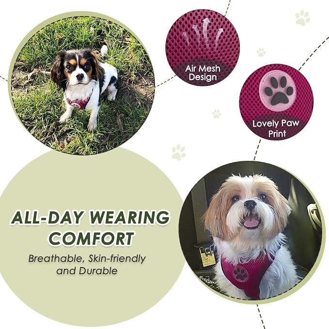 Lukovee Dog Car Harness Seat Belt, Harness & Seatbelt with 2 in 1 Buckle | Adjustable Soft Breathable Mesh Harness, Reflective Elastic Reflective Tether, for Small Medium Large Dogs Pets (Rose, XS) - Image 2