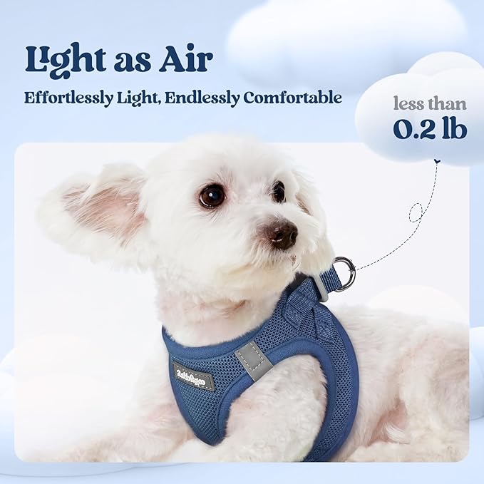 rabbitgoo Dog Harness Small Sized and Leash Set, Step-in Puppy Pet Vest | Light, Soft, Breathable Air Mesh, Easy on and Remove with Hook & Loop, Secure Reflective for Walking, Navy Blue M - Image 3