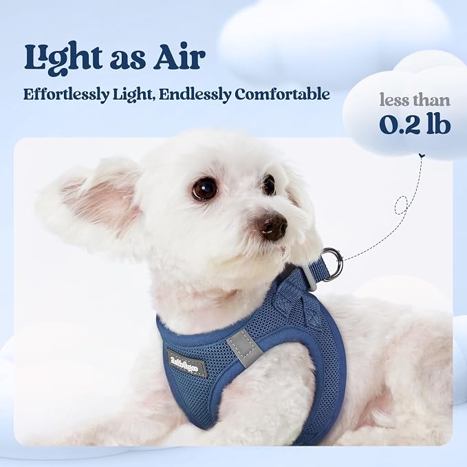 rabbitgoo Dog Harness Small Sized and Leash Set, Step-in Puppy Pet Vest | Light, Soft, Breathable Air Mesh, Easy on and Remove with Hook & Loop, Secure Reflective for Walking, Navy Blue XS - Image 3