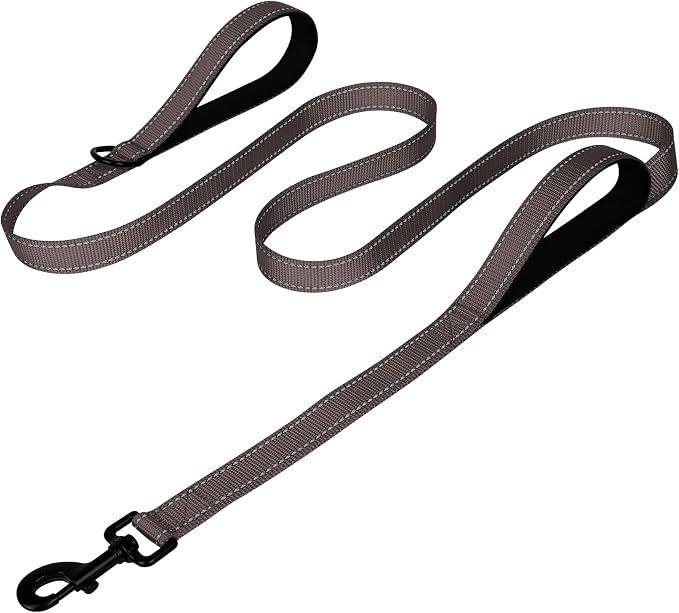 Joytale Dog Leash for Large Dogs that Pull, Double Handle, 6FT, Brown | Traffic Handle for Control, Padded Handle Reduces Hand Strain, Reflective Stitching for Night Safety, Strong Nylon Webbing by Joytale