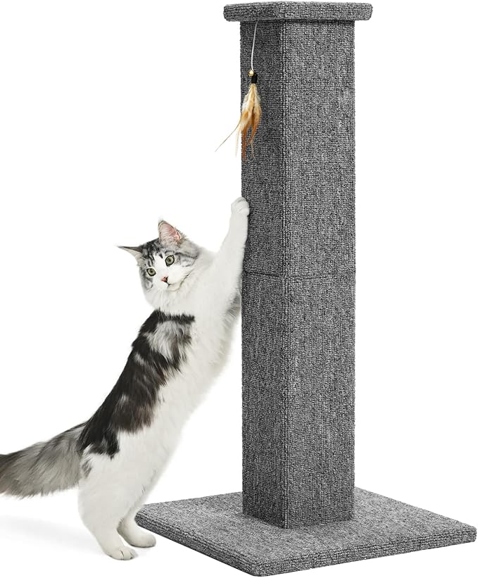 Made4Pets Cat Scratching Post for Indoor Cats, Carpet Cat Scratcher, 32" | Soft Carpet Surface for Cats That Prefer Fabric Scratching, Stable Base, Full-Body Stretching, Ideal for Kittens & Adult Cats by Made4Pets