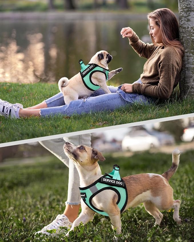 FAYOGOO Service Dog Vest Set for Small Dogs, Mesh Harness and Leash | Lightweight step-in vest with leash and removable identification patches; measure neck and chest before choosing a size - Image 5