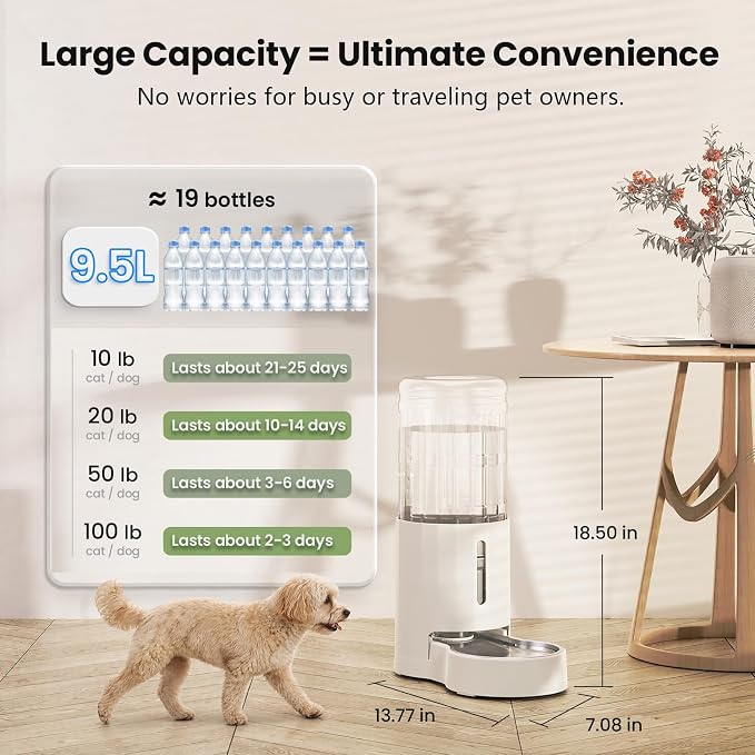 CZPET Dog Water Bowl Dispenser 9.5L, Wider Mouth Gravity Refilling (White) | With Stainless Steel Bowl Gravity Waterer, Large Capacity and Drinking Area Noise-Free for Pets - Image 4