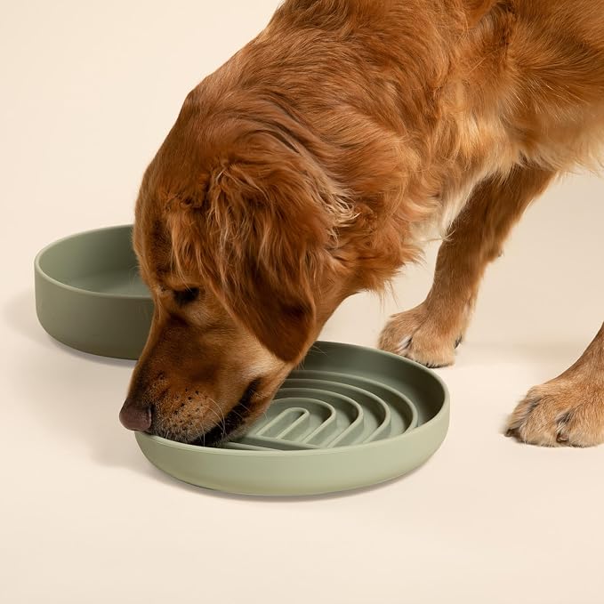 Should We Go? Slow Feeder Dog Bowls - Large Size Silicone Slow Eating Dog Bowl for Puppies & Dogs with Suction Cup -Dishwasher-Safe, Lick Mat Design, Reduces Gulping,for All Breeds,9.5”x1.5”- Sage - Image 2