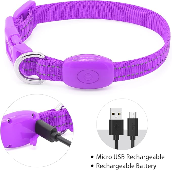 Light up Dog Collar for Small Dog,Vizpet XS Adjustable Size Nylon Collar USB Rechargeable Bright Safety Pet Collar for Cats Dogs (Purple) - Image 3
