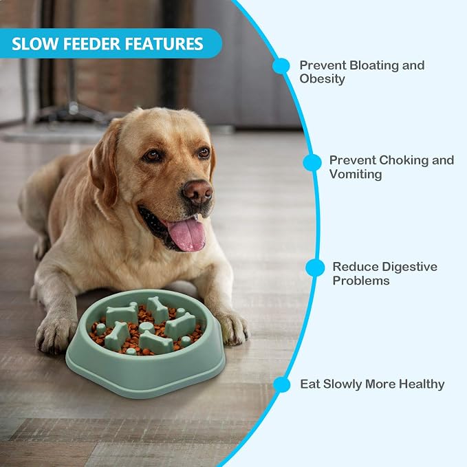 UPSKY Slow Feeder Dog Bowl Anti-Chocking Slower Feeding Pet Puzzle Bowls | Interactive Bloat Stop Dog Food Dishes, Non-Slide Dogs Lick Treat for Small Medium, Slow-Eating Maze Design, Easy to Clean - Image 7